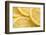 Lemon Slices Number 3-Steve Gadomski-Framed Photographic Print