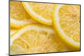 Lemon Slices Number 3-Steve Gadomski-Mounted Photographic Print