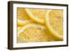 Lemon Slices Number 3-Steve Gadomski-Framed Photographic Print