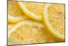 Lemon Slices Number 3-Steve Gadomski-Mounted Photographic Print