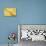 Lemon Slices Number 3-Steve Gadomski-Stretched Canvas displayed on a wall