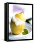 Lemon Sorbet in a Hollowed-out Lemon-Alena Hrbkova-Framed Stretched Canvas