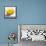 Lemon Still Life-Pamela Munger-Framed Stretched Canvas displayed on a wall