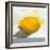 Lemon Still Life-Pamela Munger-Framed Art Print