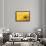 Lemon Top-Steve Gadomski-Framed Photographic Print displayed on a wall