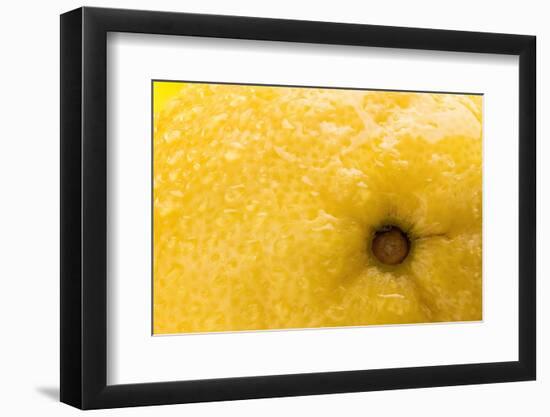 Lemon Top-Steve Gadomski-Framed Photographic Print