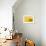 Lemon Top-Steve Gadomski-Framed Photographic Print displayed on a wall