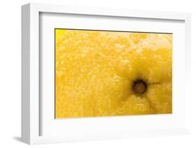 Lemon Top-Steve Gadomski-Framed Photographic Print