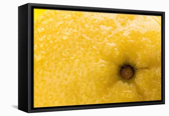 Lemon Top-Steve Gadomski-Framed Stretched Canvas