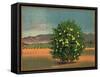 Lemon Tree and Orchard - Citrus Crate Label-Lantern Press-Framed Stretched Canvas