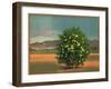 Lemon Tree and Orchard - Citrus Crate Label-Lantern Press-Framed Art Print