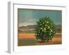 Lemon Tree and Orchard - Citrus Crate Label-Lantern Press-Framed Art Print