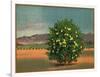 Lemon Tree and Orchard - Citrus Crate Label-Lantern Press-Framed Art Print