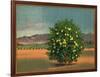 Lemon Tree and Orchard - Citrus Crate Label-Lantern Press-Framed Art Print