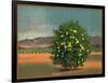 Lemon Tree and Orchard - Citrus Crate Label-Lantern Press-Framed Art Print