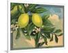 Lemon Tree Branch - Citrus Crate Label-Lantern Press-Framed Art Print