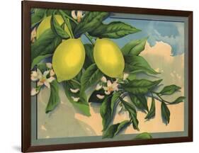 Lemon Tree Branch - Citrus Crate Label-Lantern Press-Framed Art Print