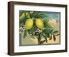 Lemon Tree Branch - Citrus Crate Label-Lantern Press-Framed Art Print