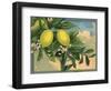 Lemon Tree Branch - Citrus Crate Label-Lantern Press-Framed Art Print