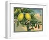 Lemon Tree Branch - Citrus Crate Label-Lantern Press-Framed Art Print