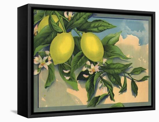 Lemon Tree Branch - Citrus Crate Label-Lantern Press-Framed Stretched Canvas