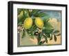 Lemon Tree Branch - Citrus Crate Label-Lantern Press-Framed Art Print