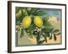 Lemon Tree Branch - Citrus Crate Label-Lantern Press-Framed Art Print