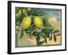 Lemon Tree Branch - Citrus Crate Label-Lantern Press-Framed Art Print