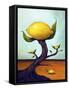 Lemon Tree Surreal-Leah Saulnier-Framed Stretched Canvas