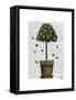 Lemon Tree-Fab Funky-Framed Stretched Canvas