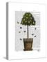 Lemon Tree-Fab Funky-Stretched Canvas