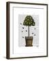 Lemon Tree-Fab Funky-Framed Art Print