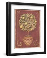 Lemon Tree-Tina Chaden-Framed Art Print