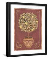 Lemon Tree-Tina Chaden-Framed Art Print