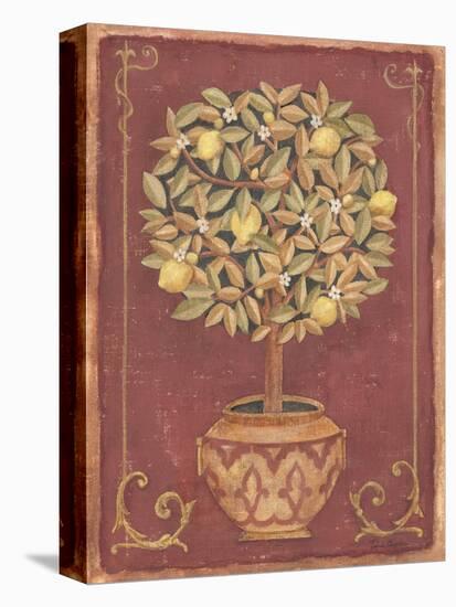 Lemon Tree-Tina Chaden-Stretched Canvas