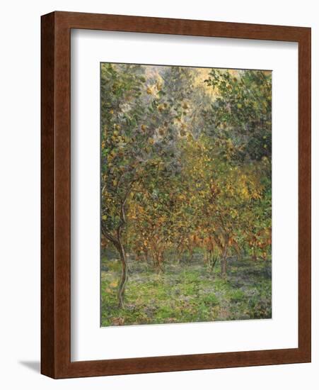 Lemon Trees, 1884-Claude Monet-Framed Giclee Print