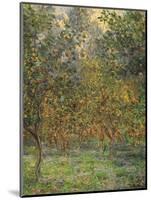 Lemon Trees, 1884-Claude Monet-Mounted Giclee Print