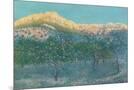Wood Mount