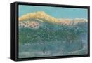 Canvas Black