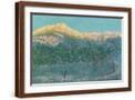 Brown Frame