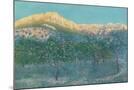 Wood Mount