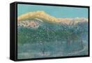 Canvas Black