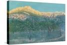 Stretched Canvas
