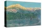 Stretched Canvas