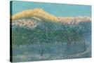 Stretched Canvas