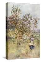 Lemon-Trees: Spring-Alberto Pisa-Stretched Canvas