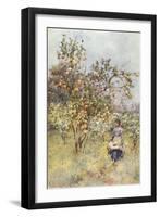 Lemon-Trees: Spring-Alberto Pisa-Framed Giclee Print