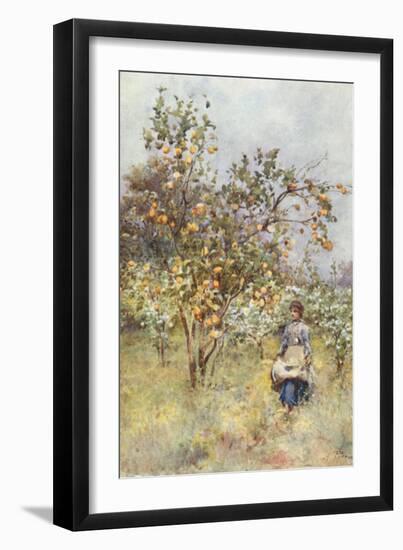 Lemon-Trees: Spring-Alberto Pisa-Framed Giclee Print