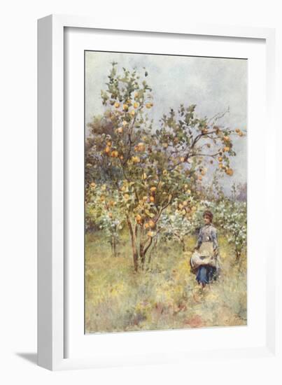 Lemon-Trees: Spring-Alberto Pisa-Framed Giclee Print