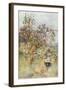 Lemon-Trees: Spring-Alberto Pisa-Framed Giclee Print